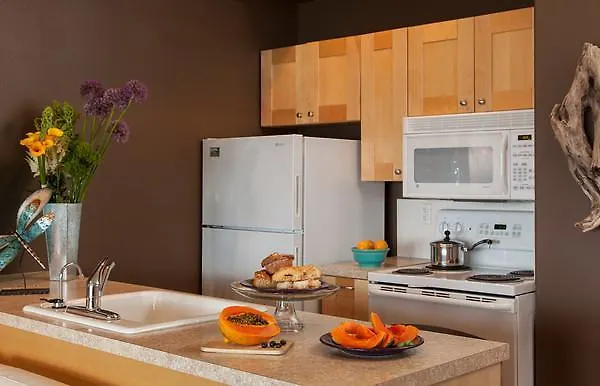 Three Tree Point Bed And Breakfast Burien 2*,  United States